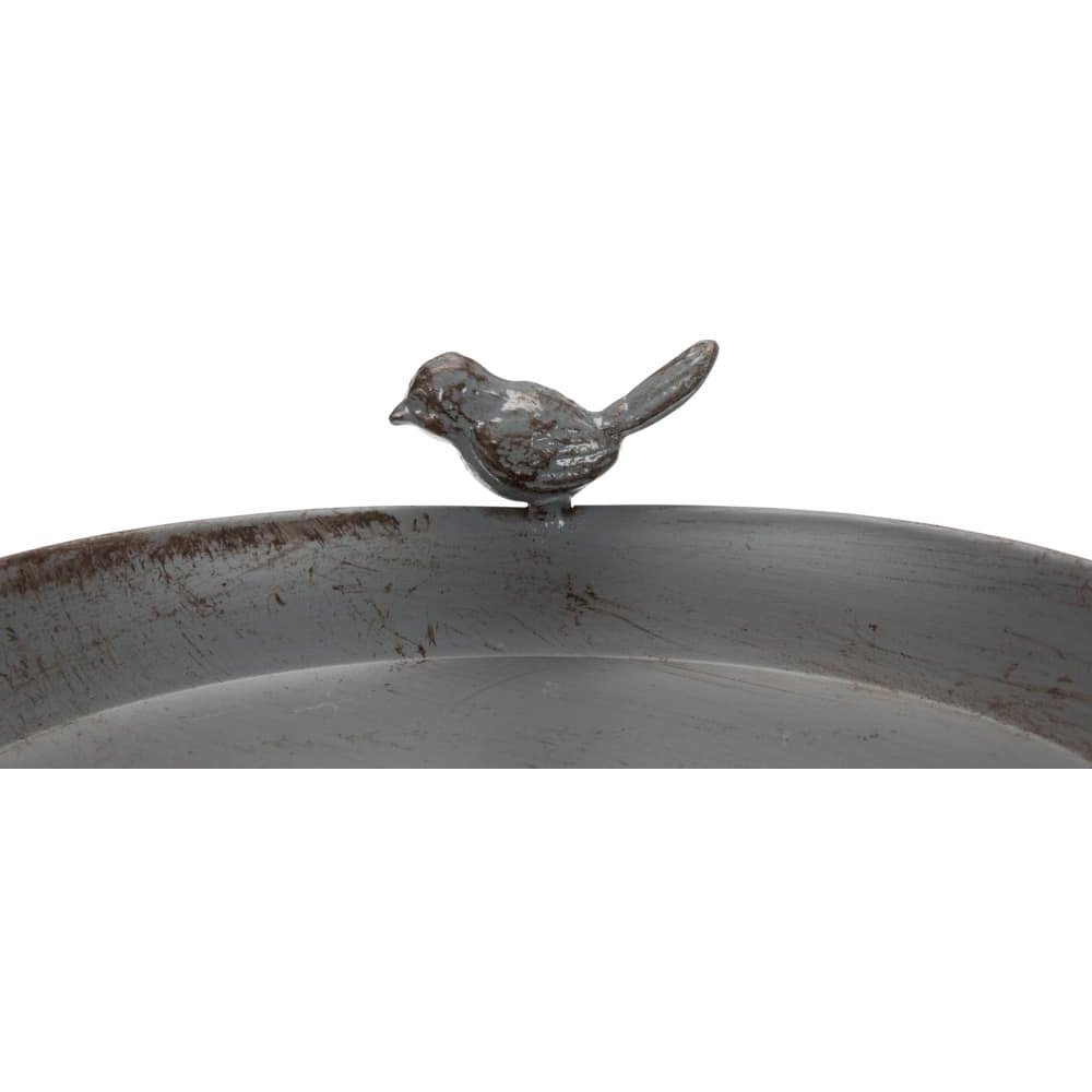 Bird Bath/Water Dish for Placement-3