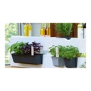 Plant Container EASY for Euro Pallets, approx. 18cm anthracite-0