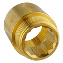 Threaded Fitting Brass Tap Extension 1/2" M x 1/2" F 25 mm-1