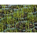 Grass Grid Black RKP1 approx. 49.2x49.2x 3.9 cm-1