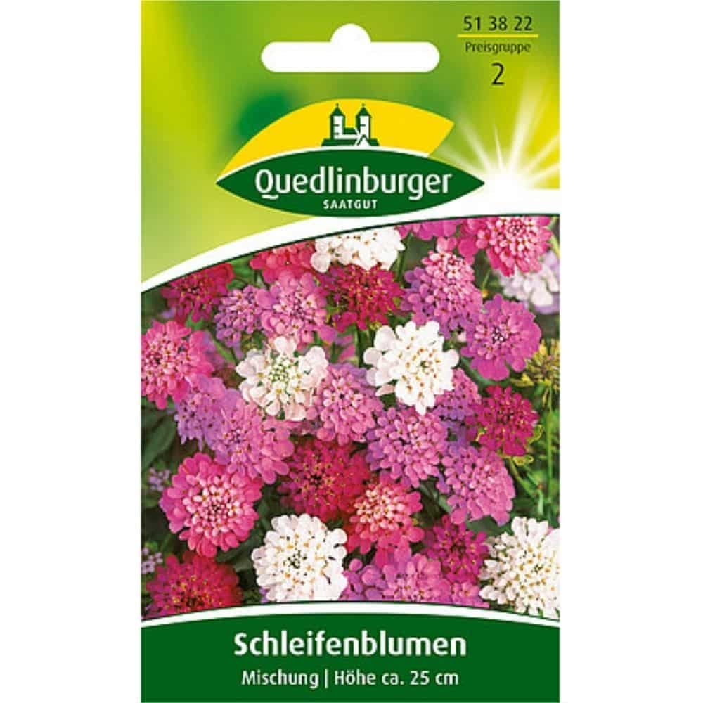 Candytuft, mixture