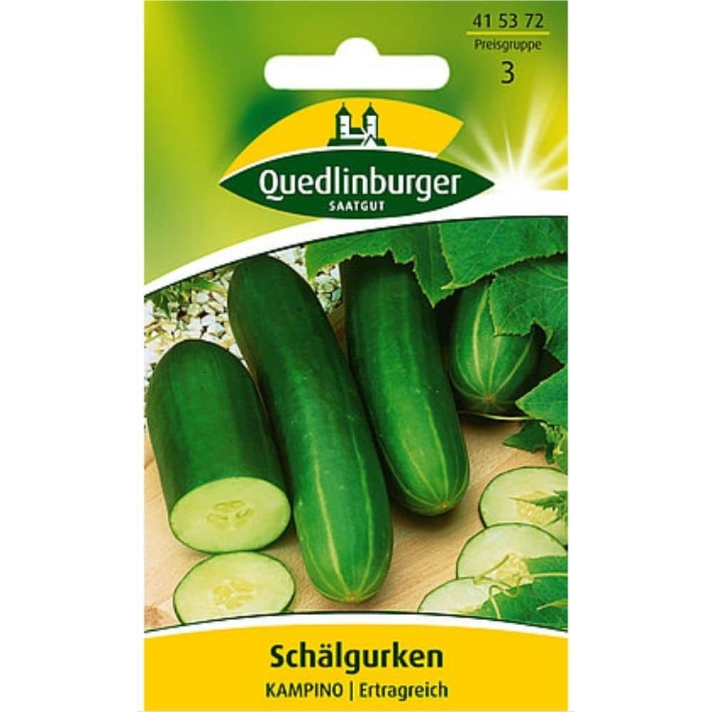 Peeling Cucumber, Kampino