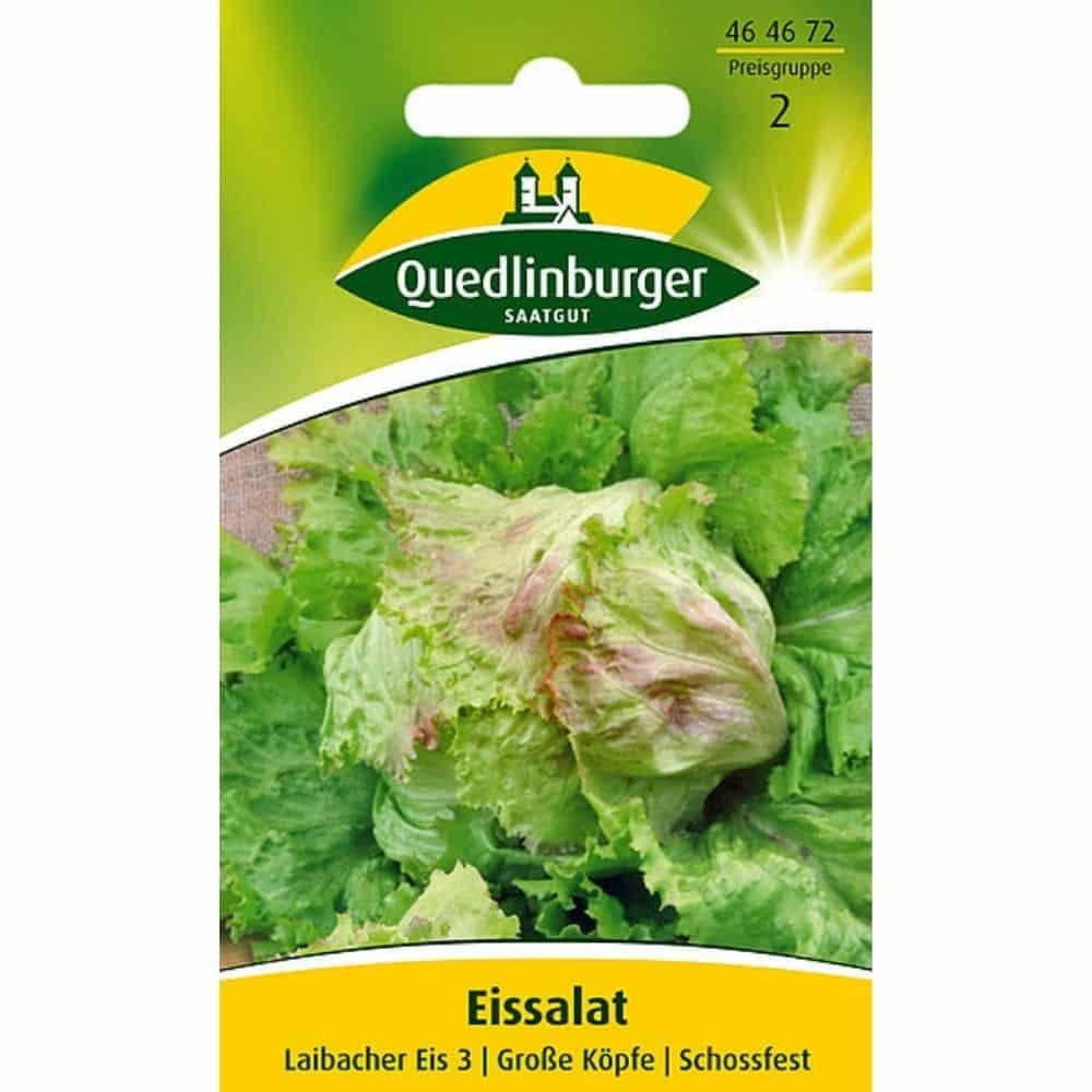 Iceberg lettuce, Laibacher Ice 3