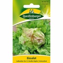 Iceberg lettuce, Laibacher Ice 3