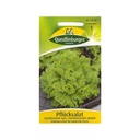 Loose-leaf lettuce, Australian Yellow