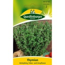 Thyme, perennial