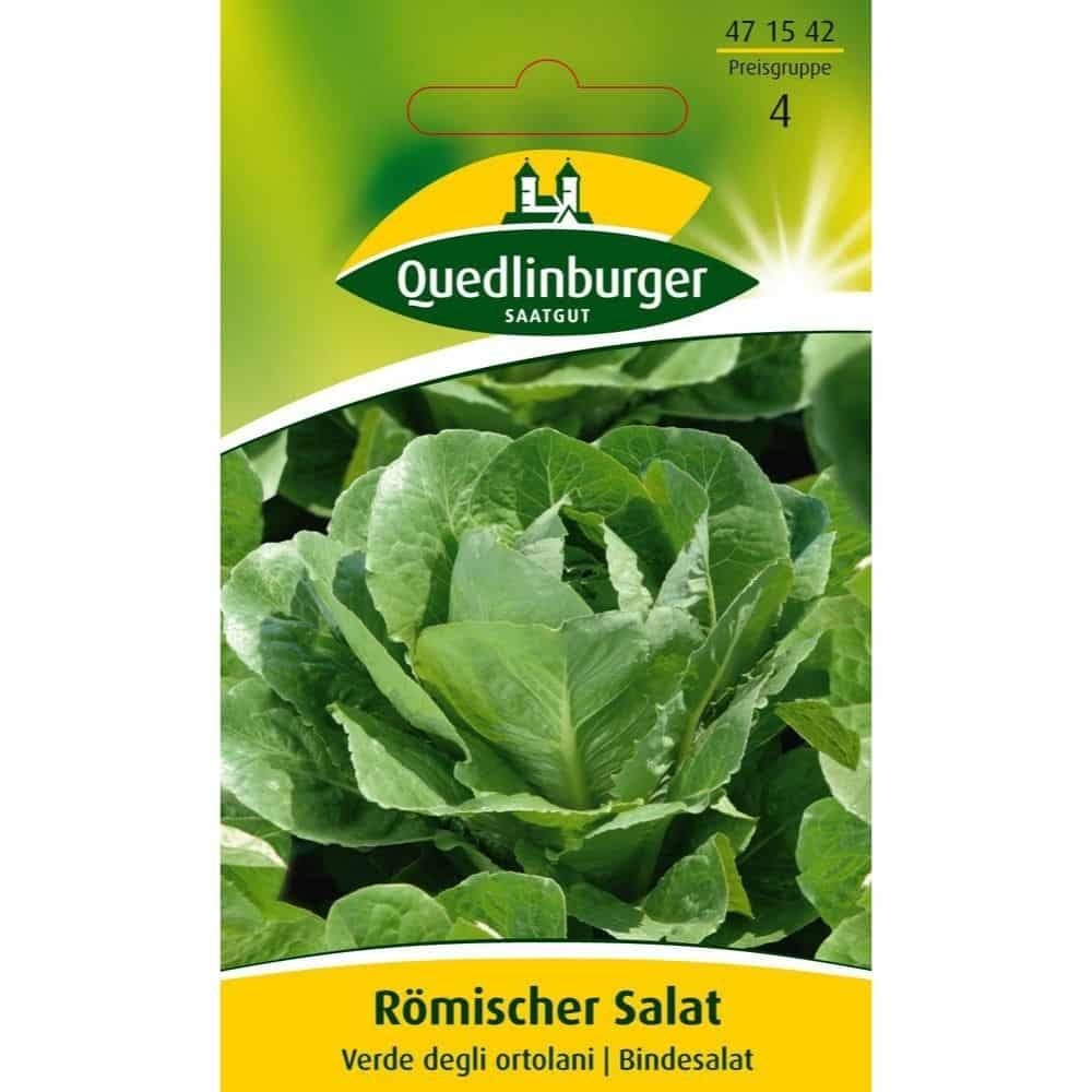 Roman Lettuce, Green of the Gardeners