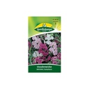 Perennial Pea, Mix