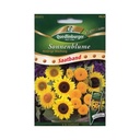 Seed tape sunflowers, low mix