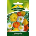 Icelandic poppy, Mix