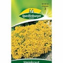 Rock Cress, Goldbasket