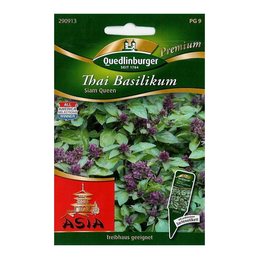 Thai Basil, Siam Queen