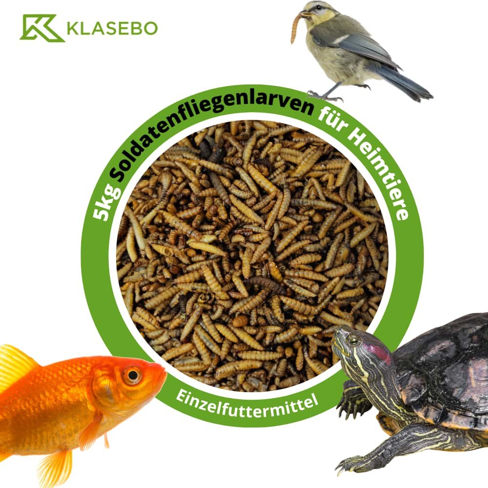 Black soldier fly larvae 5kg, whole dried Hermetia illucens