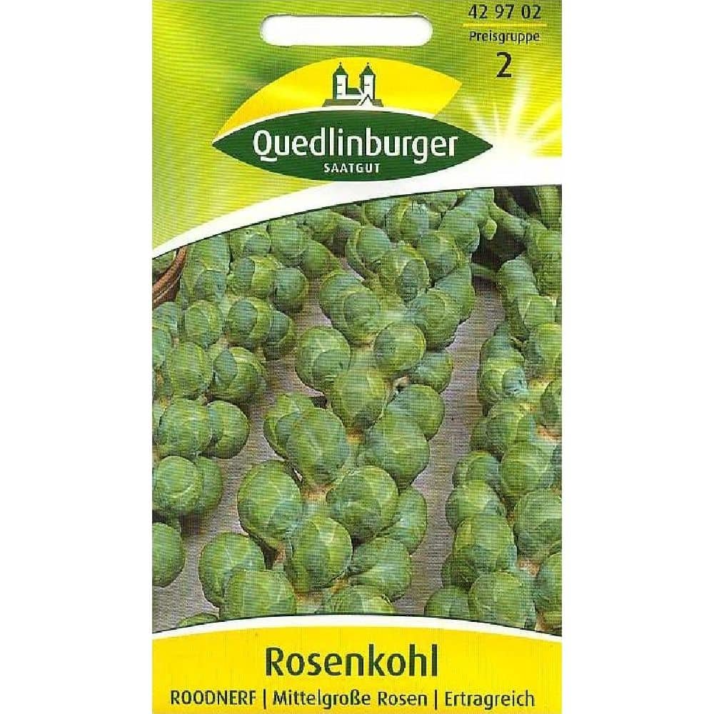 Brussels Sprouts, Roodnerf