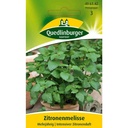 Lemon Balm