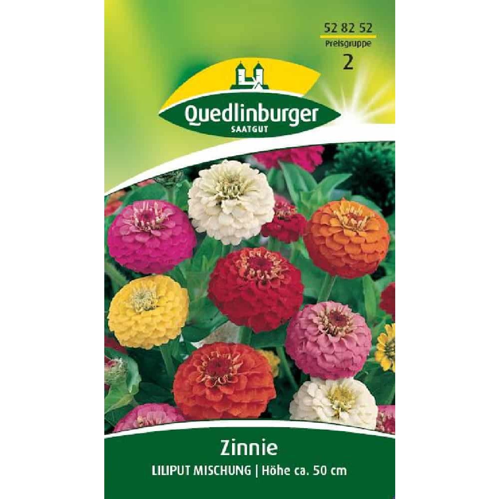 Zinnia, Lilliput Mix