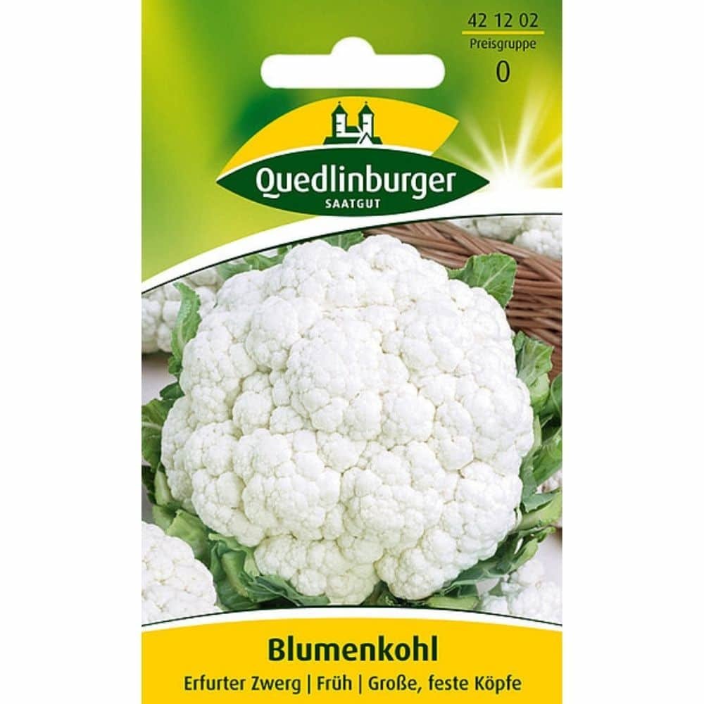 Cauliflower, Erfurt Dwarf