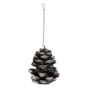 Feed Dispenser Pine Cone