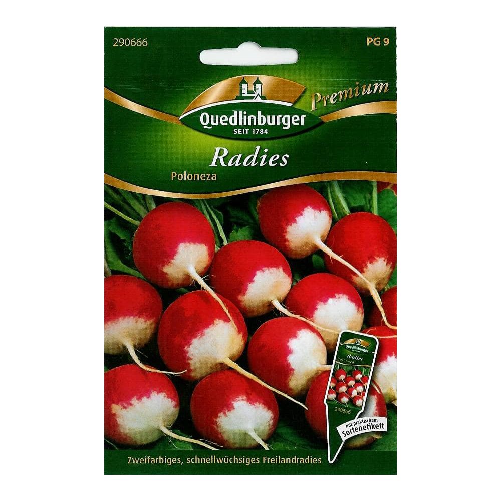 Radish, Poloneza