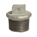 Threaded Fitting Malleable Cast Iron Plug 2" Male