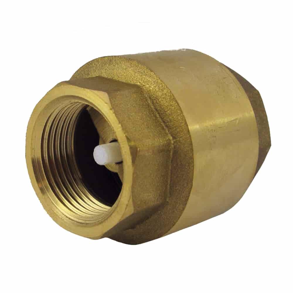 check valve with spring 1" inch