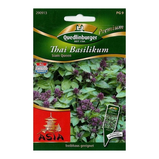 [BONI-290913] Thai Basil, Siam Queen