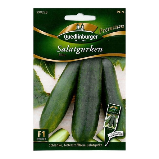 [BONI-290228] Salad cucumbers, Silor