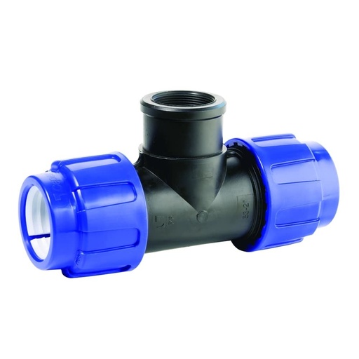 [BONI-01529K] PP PE Pipe Fitting T-Piece 32 x 1" IG x 32